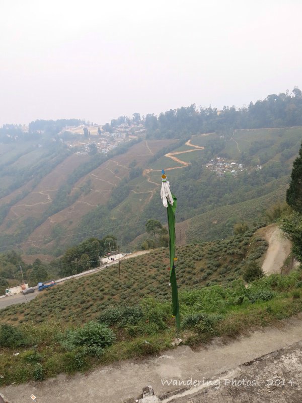 View across tea plantations and mountain roads!