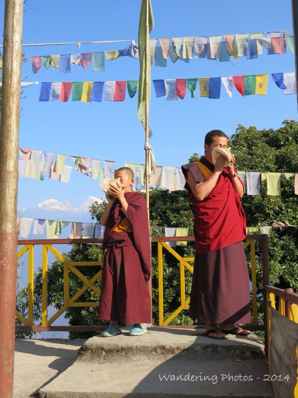 Monks blowing conch shells at Pemayangtse Monastery
