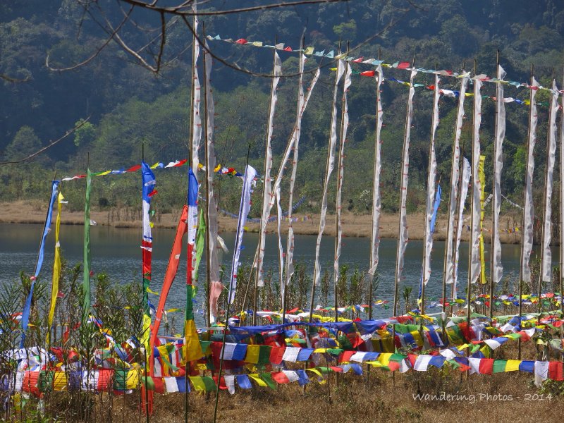 Prayer flags overlooking the holy Lake Kheocheopalri