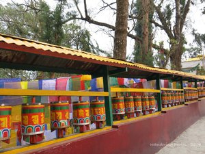 Colourful prayer wheels at the Enchey Monastery - Gangrok Sikkim