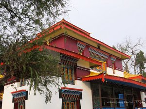 Enchey Monastery - Gangtok Sikkim