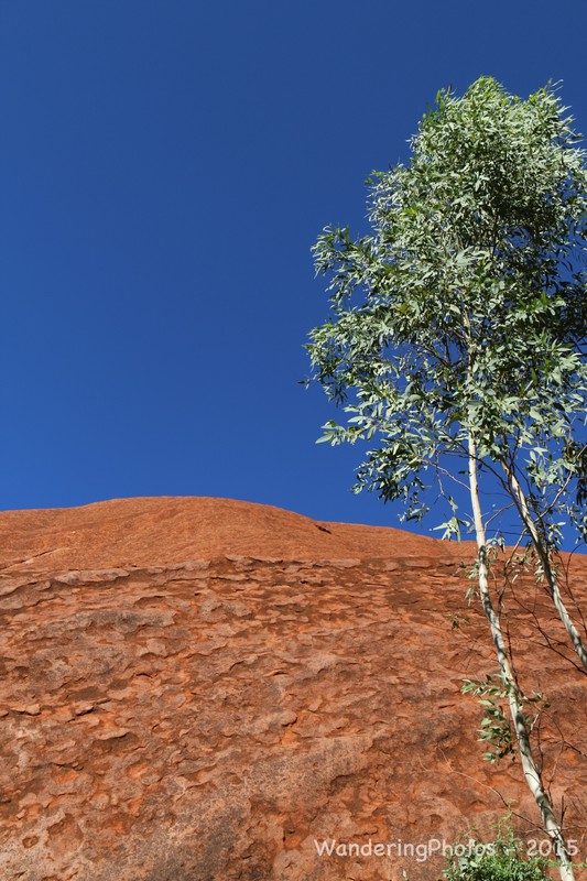 Colourful Uluru
