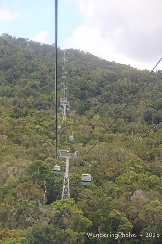 Skyrail across the rain forest