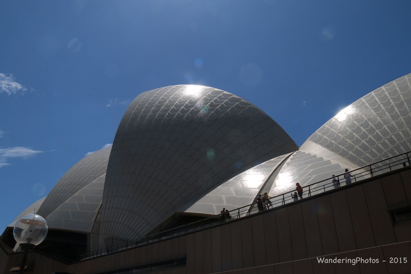 Sparkling roof of the Sydney Opera House