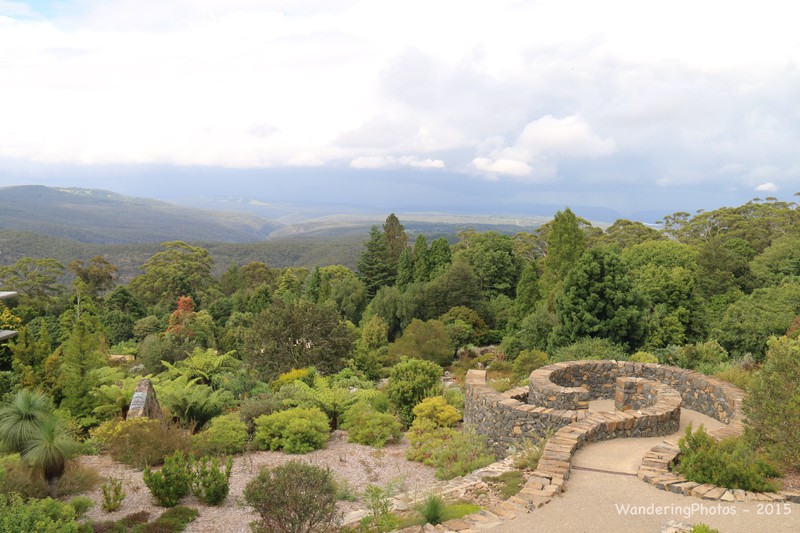 Mount Tomah Botanical Gardens - the Blue Mountains
