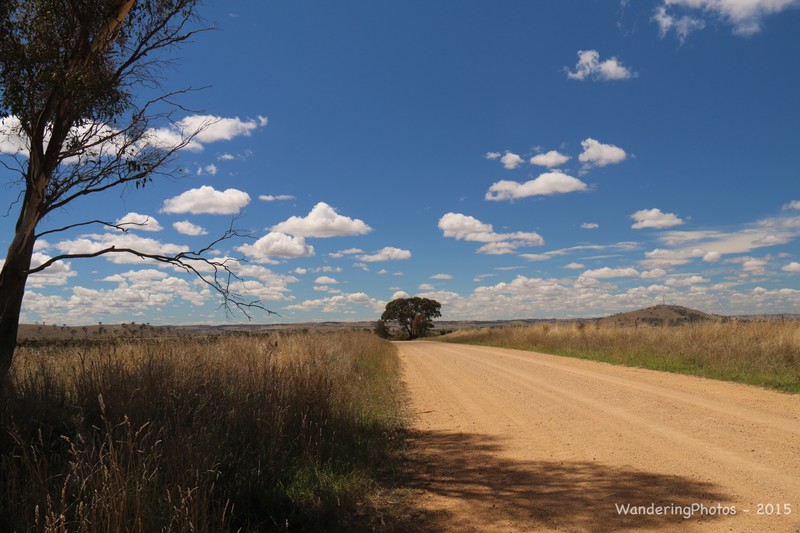 Typical backroads and New South Wales countryside