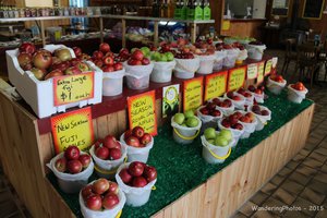 Apples for sale at the Pines Orchard Bilpin