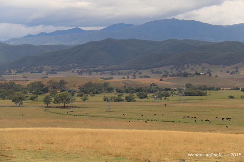 Across the countryside of North Victoria to the Snowy Mountains