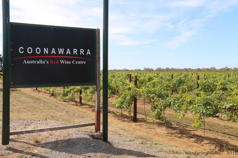Coonawarra Wine Region - Soith Australia