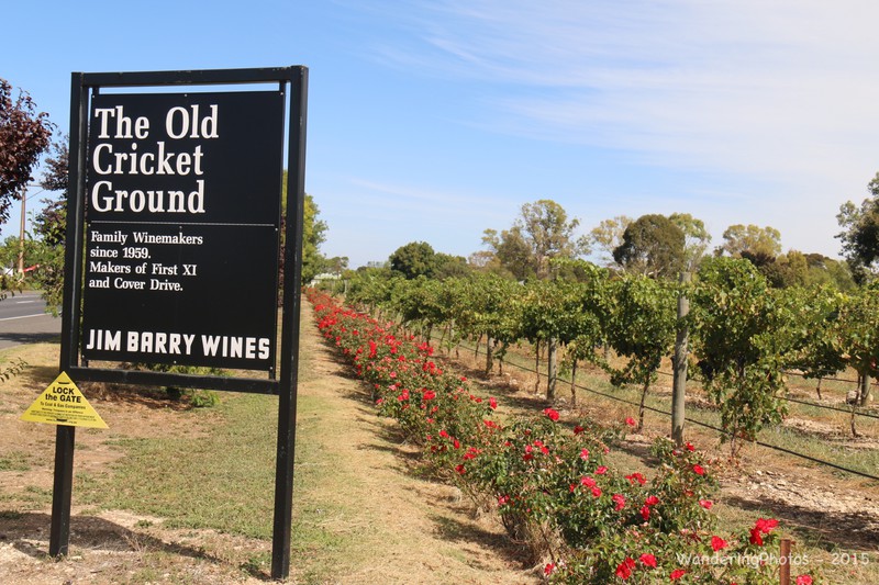 The Old Cricket Ground Vineyard - Coonawarra