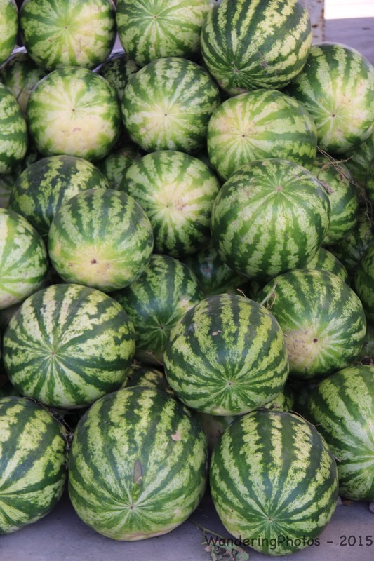 Fergana Valley watermelons