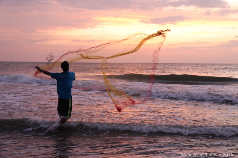Net-fishing at sunset