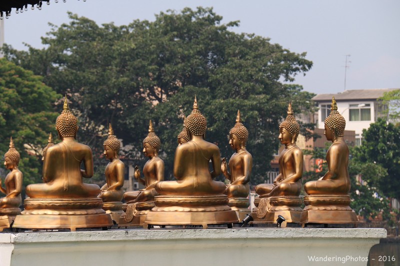 Buddhist Temple - Colombo