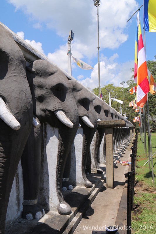 Carved elephants at Anuradhapura