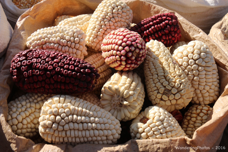 Coloured varieties of sweet corn - Chivay Market Peru