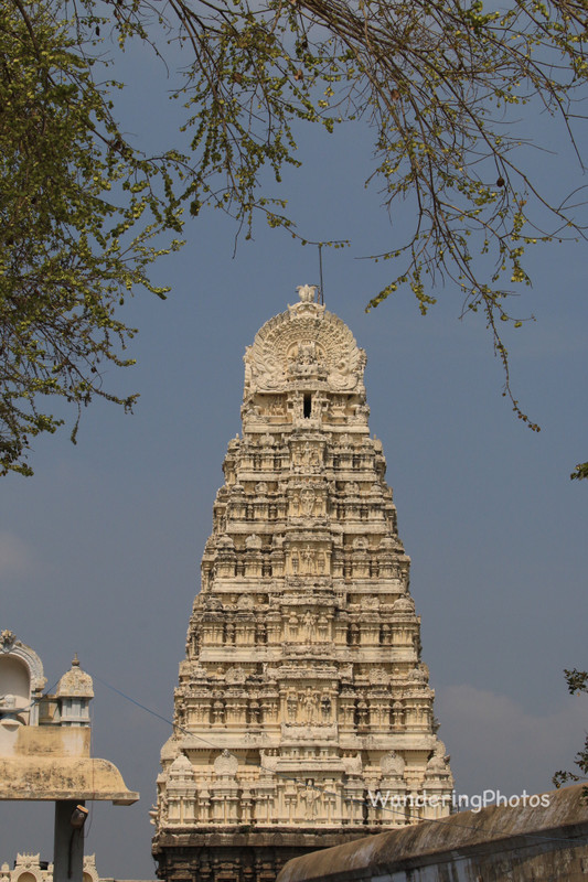 Hindu Temple - Kanchipuram 