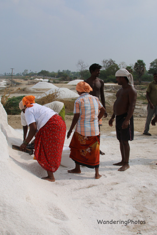 Salt workers at the Salt pans - Tamil Nadu India