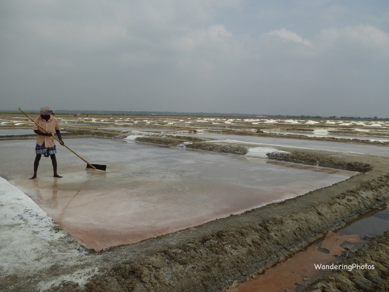 Salt pans - Tamil Nadu