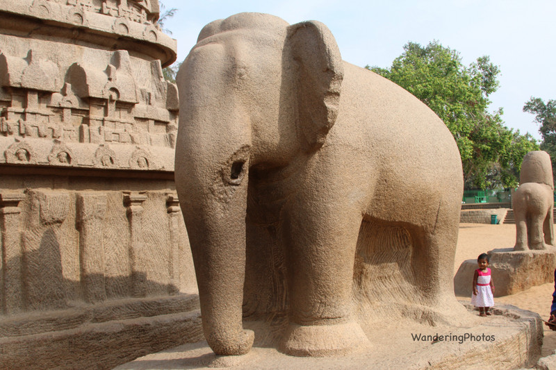Carved Elephant- Mahabalipuram 