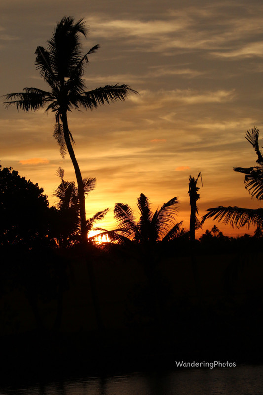 Sunset on the Keralan Backwaters 