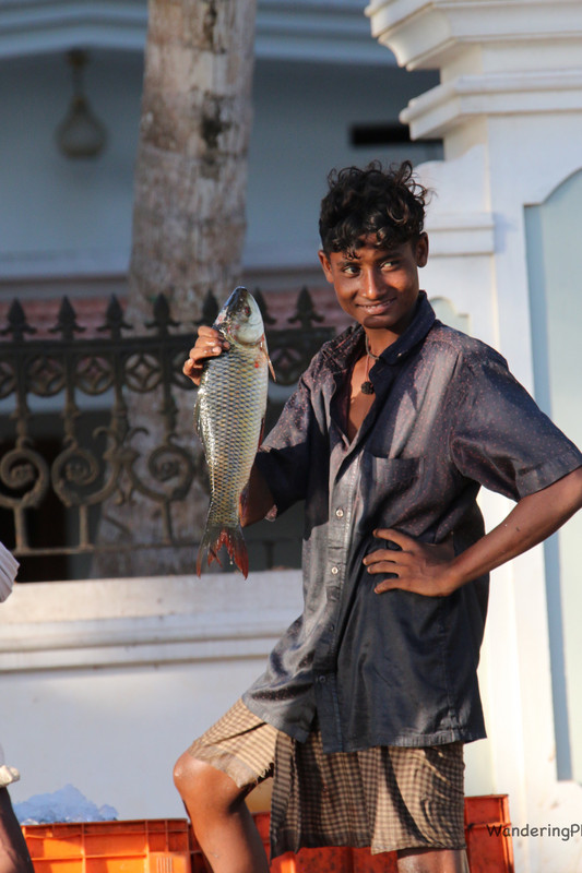 The catch - Life on the Keralan Backwaters 