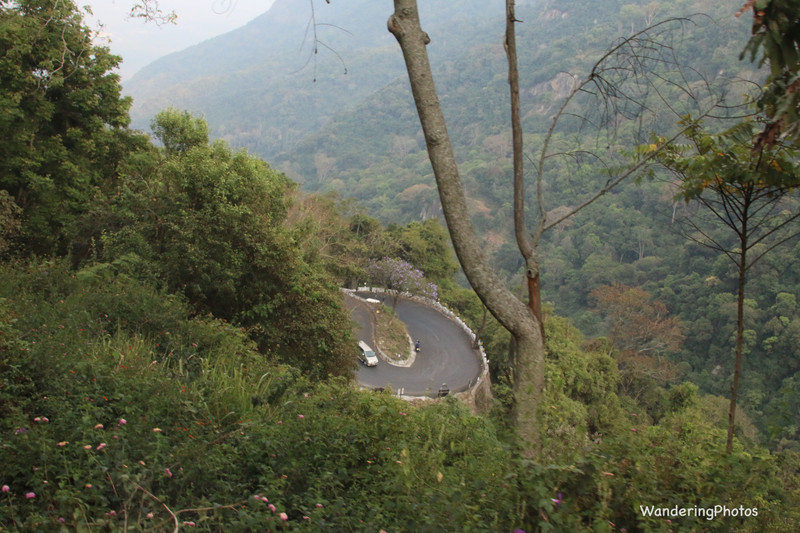 Hair-pin bends on the road to Ooty