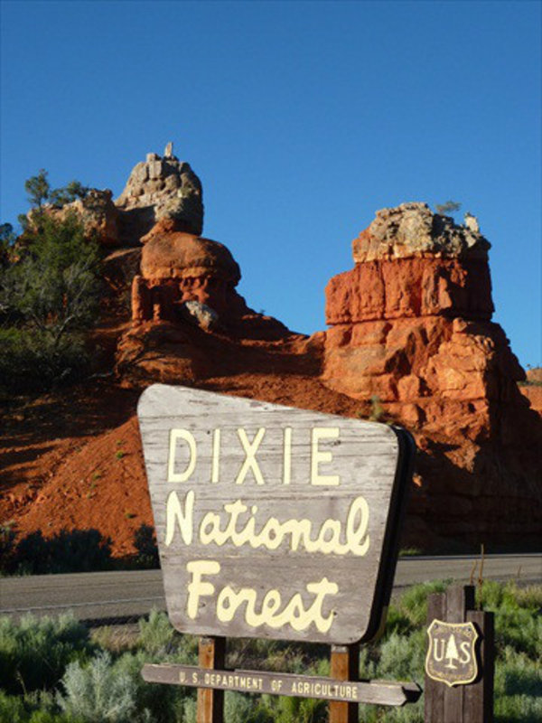 Dixie National forest near Bryce Canyon