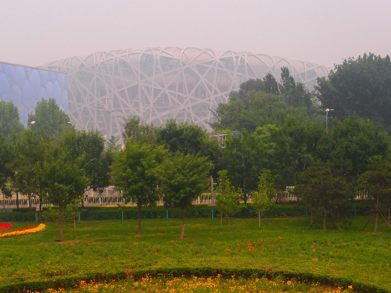 Water Cube and Bird's Nest