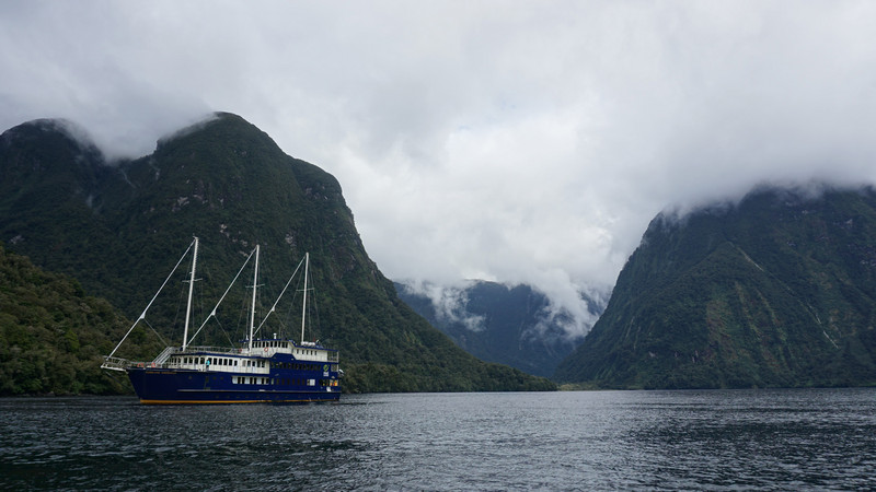 Fiordland Navigator 2