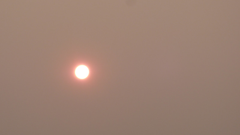 Sun and forest fire haze