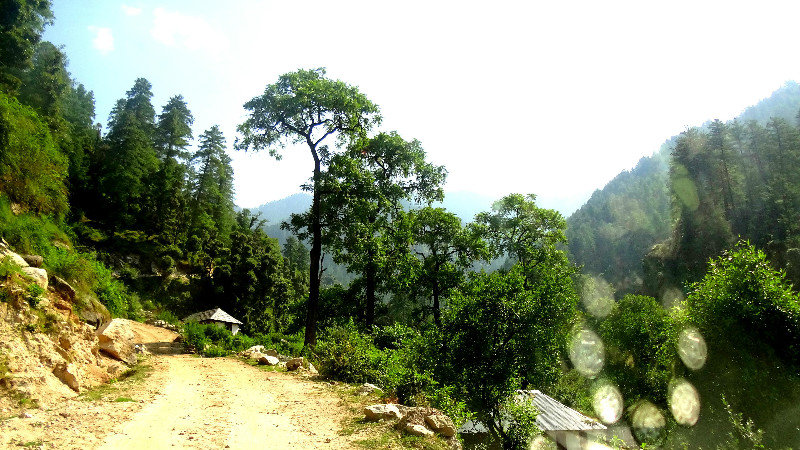 0010 - Start of road to Shikari Mata from Sanarli (Pic Manoj Mehta)