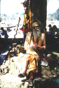 A sadhu