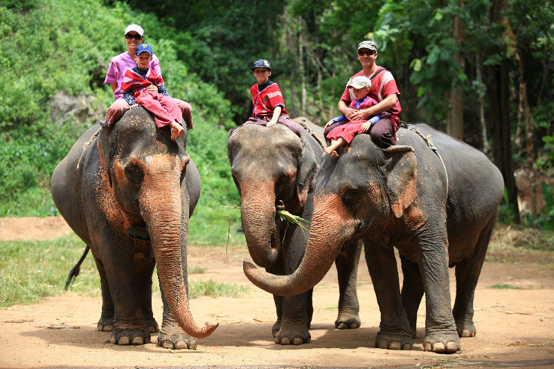 The way we rode our elephants ...