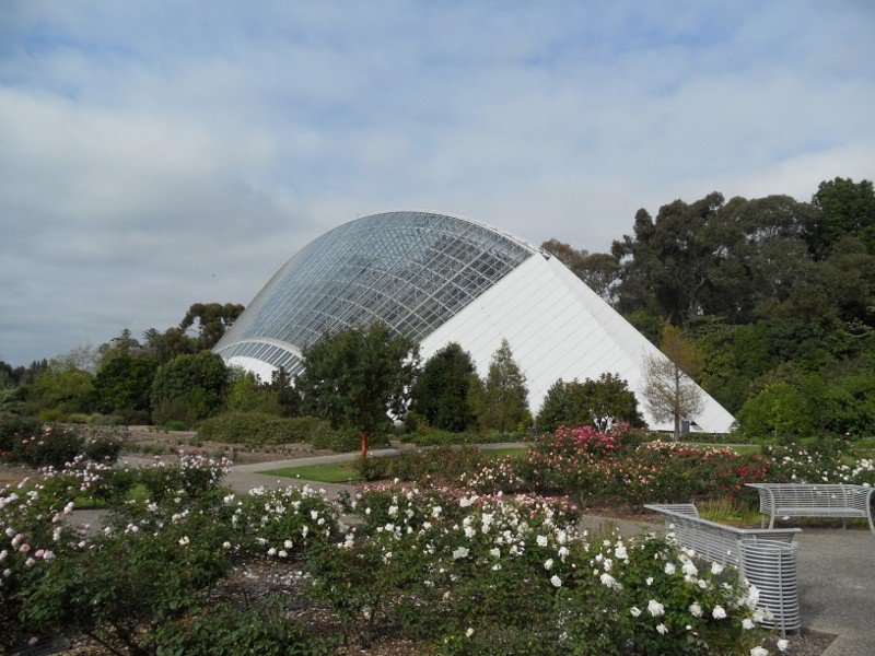 Adelaide botanic gardens