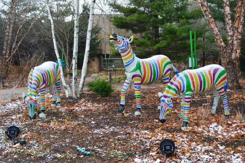 Zebra feature at the Lincoln park zoo entrance  