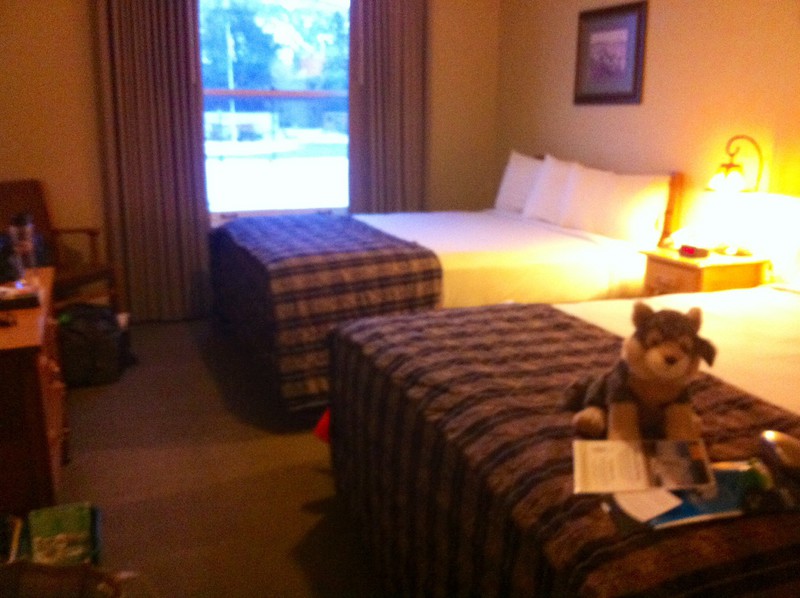 mammoth hotel room