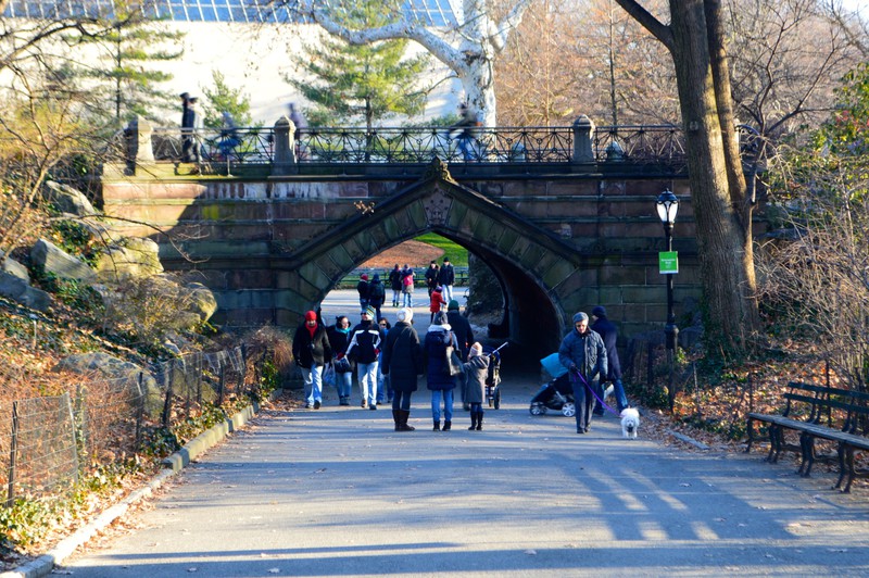 One of the many bridges in the park