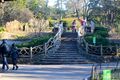 steps to the Shakespeare Garden in Central Park