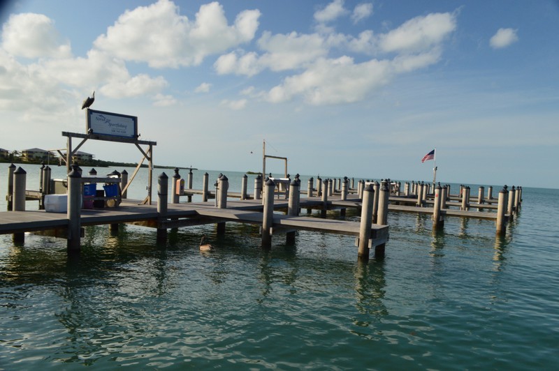 Pier at Island Fish Co.