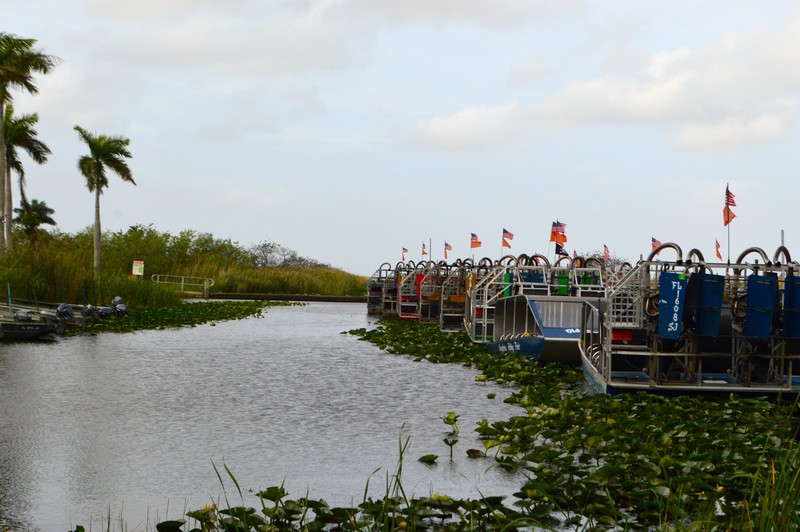 Airboats at the Glades