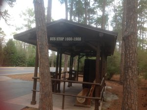 The bus stop near our camp site