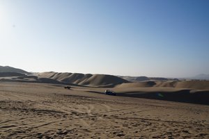 Sur les dunes