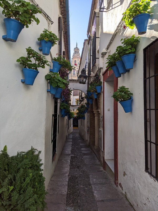 An alley in Cordoba