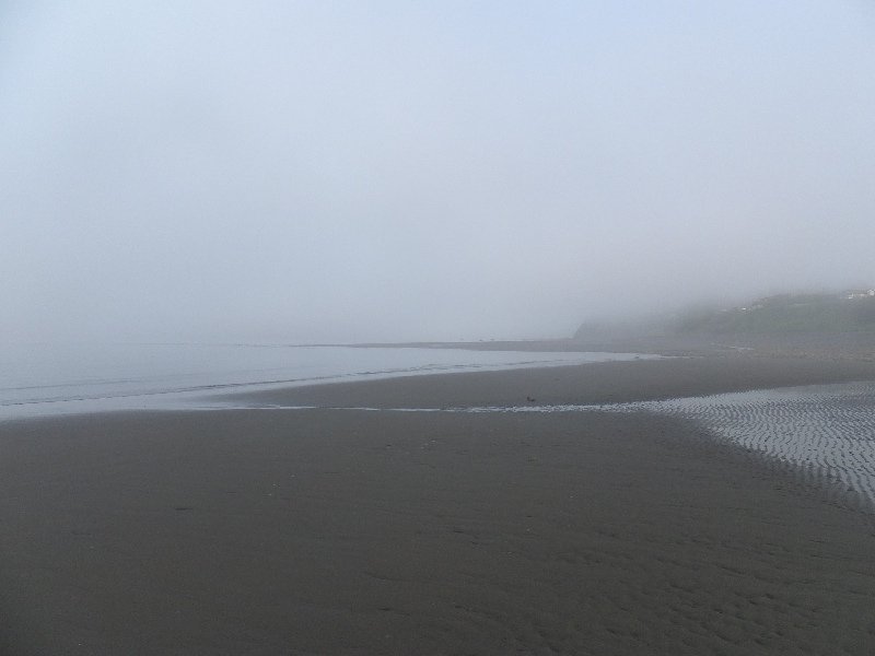 mist covered beach