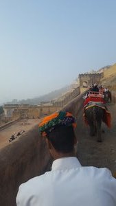 View from the back of an elephant going up to Amber Fort