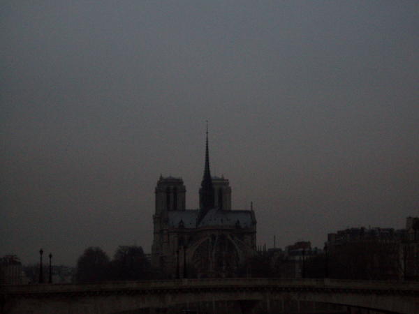 Notre Dame from Afar