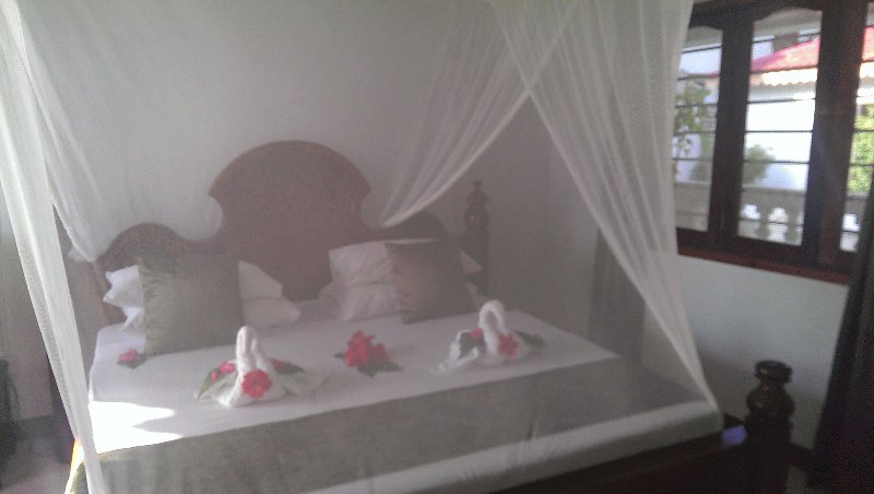 Our honeymoon suite bed