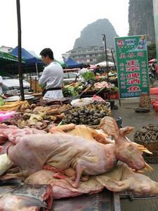 Food Market in Yangshuo