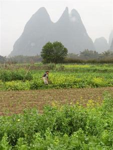 Fuli farm, near Yangshuo