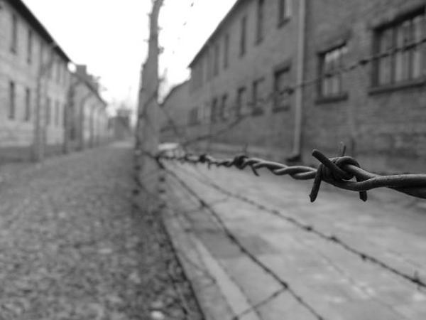 Ubiquitous barbed wire, Auschwitz